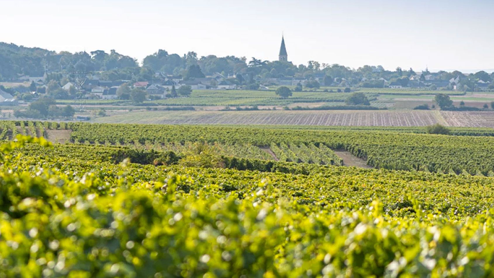 Domaine de la Guilloterie