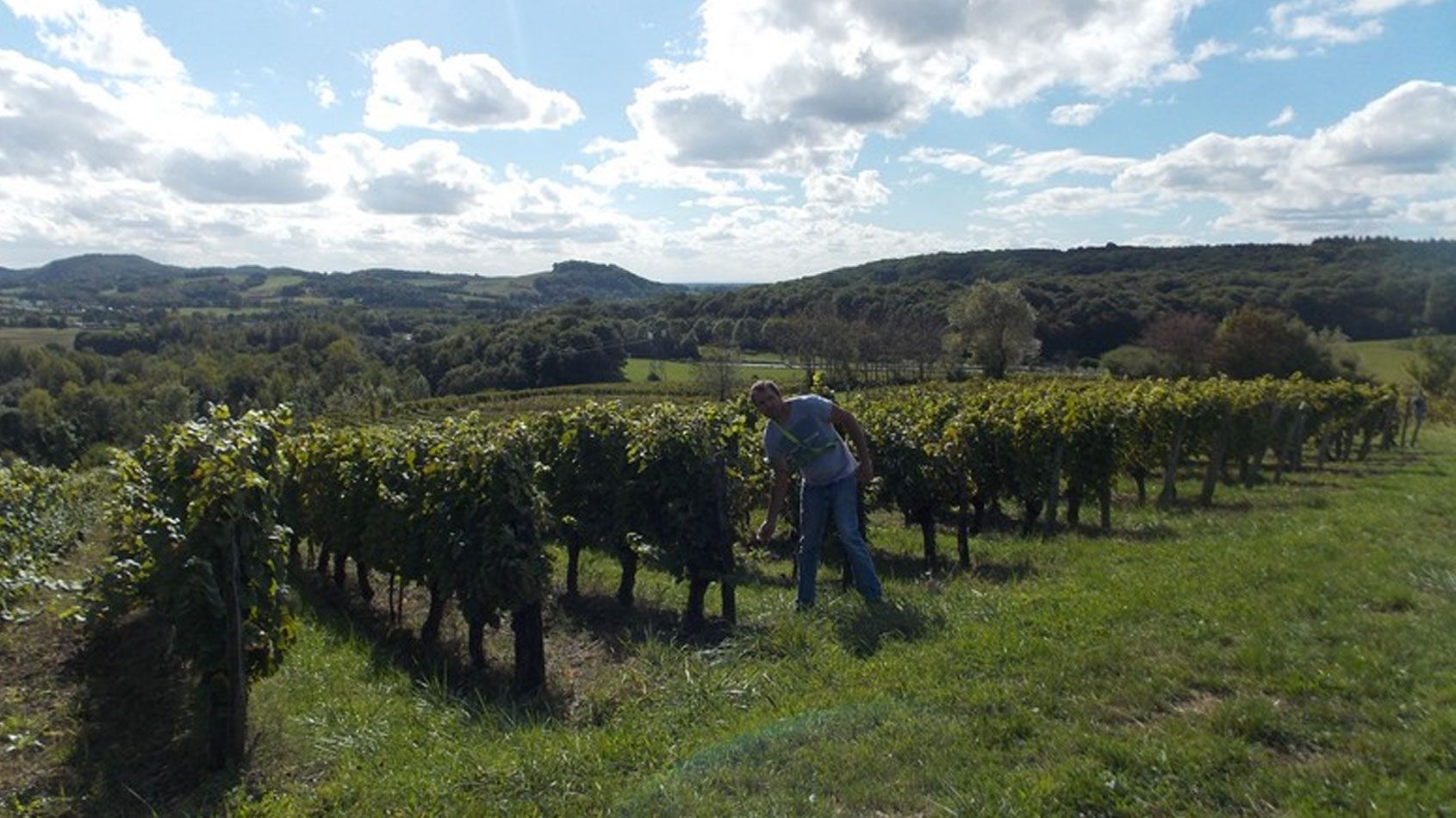 Domaine Jean-Luc Mouillard