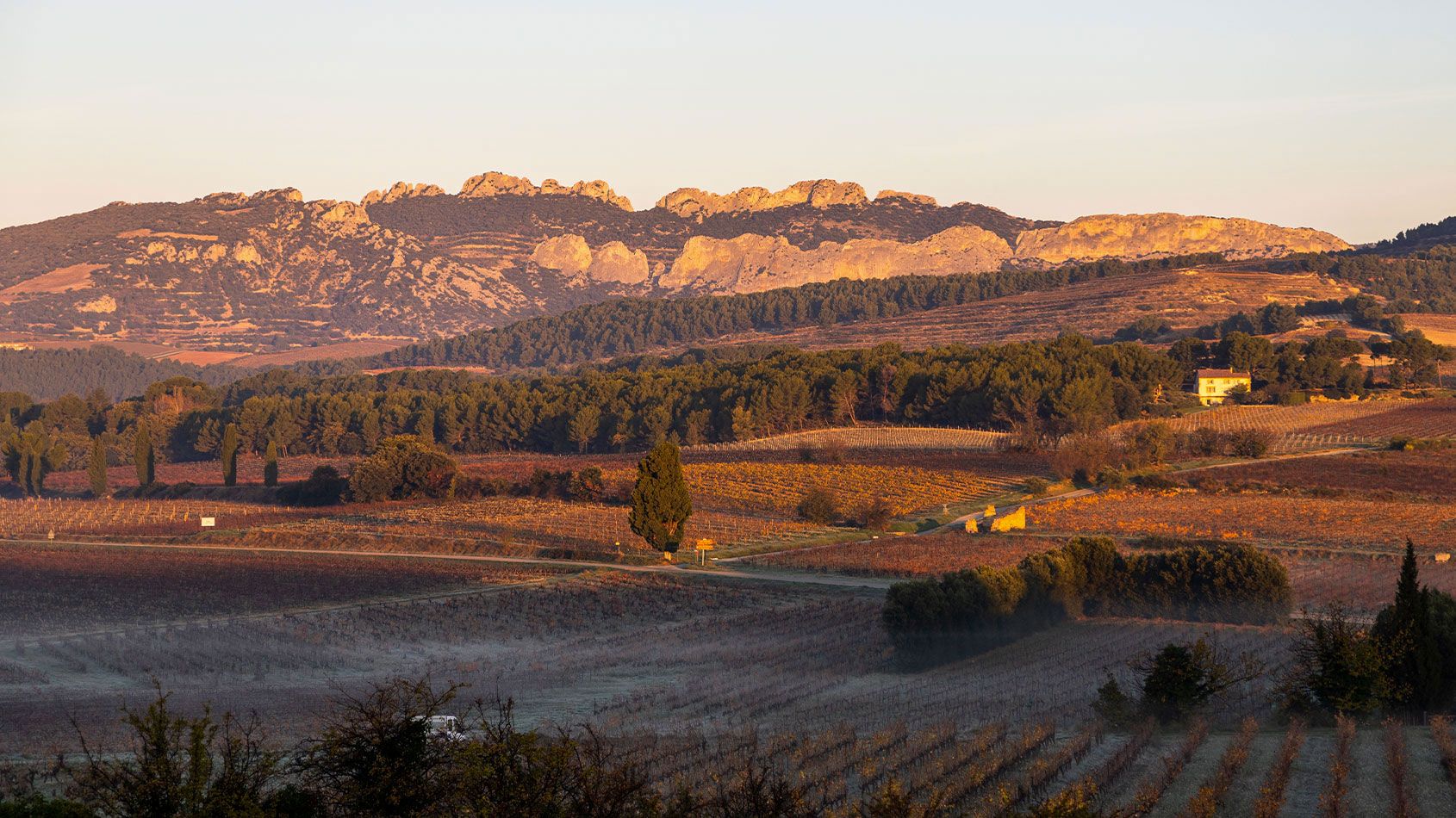 Domaine Saint-Roch