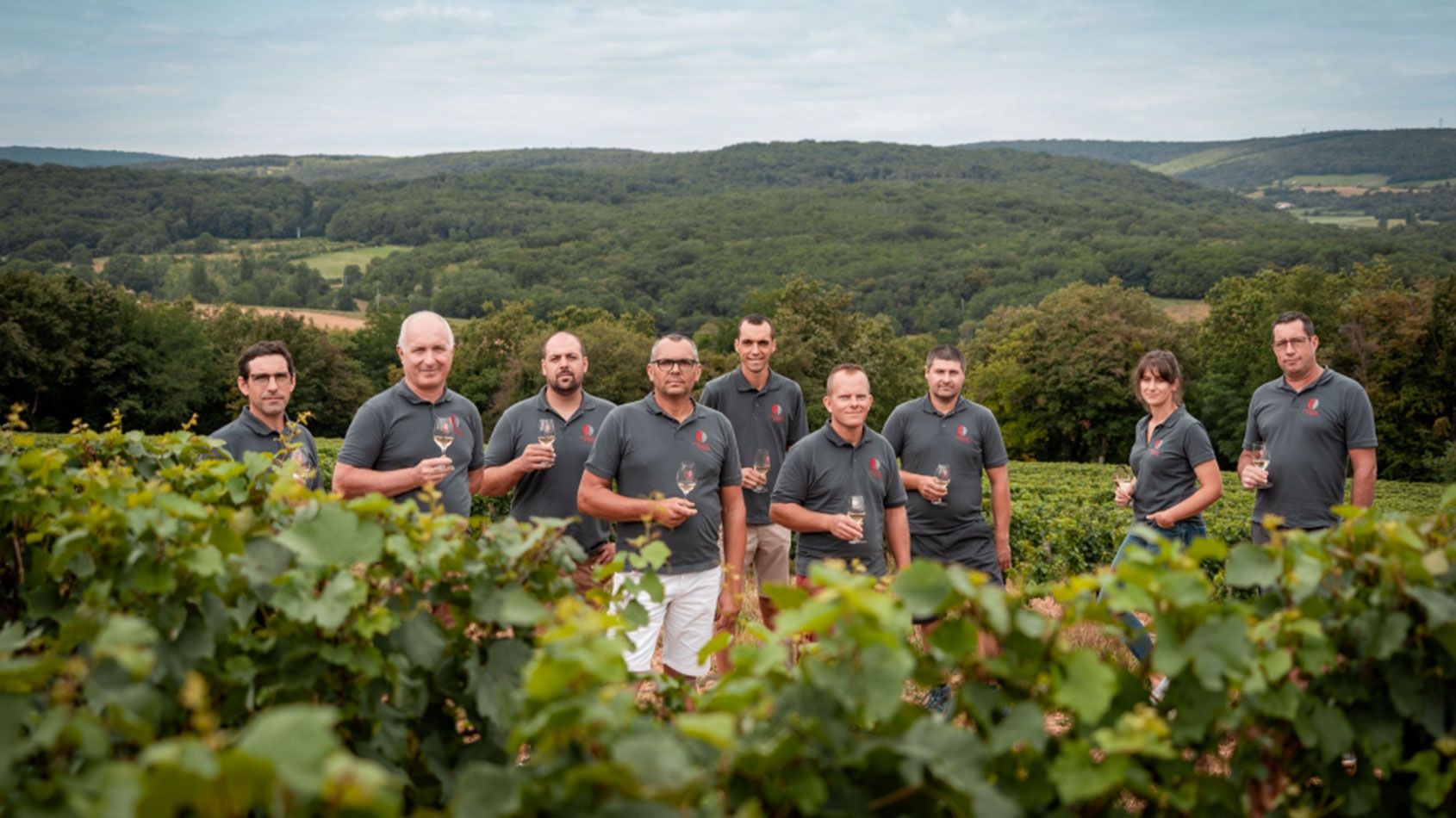 Bourgogne de vigne en verre