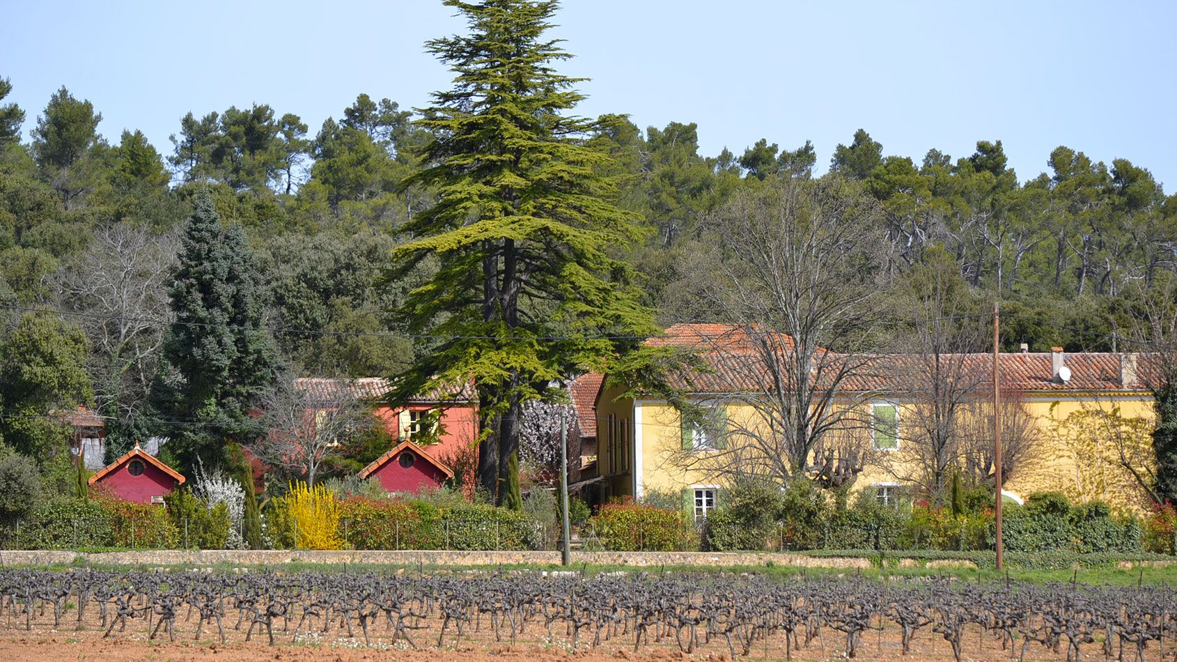 Domaine saint mitre