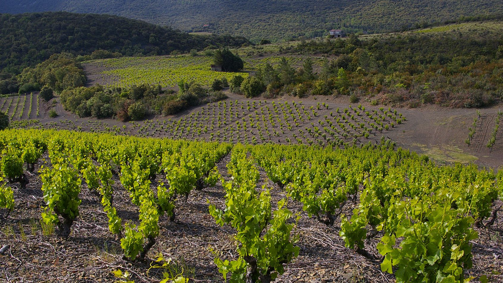 Domaine de Venus